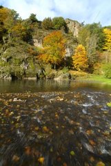 Banks of Allier in autumn Auvergne France