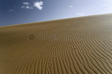 Dunes at Dunas de Masalomas reserve in Canary Islands