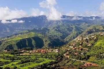Village and fields in Canary Islands