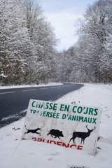 Panel -Jagd auf einer Landstraße Frankreich