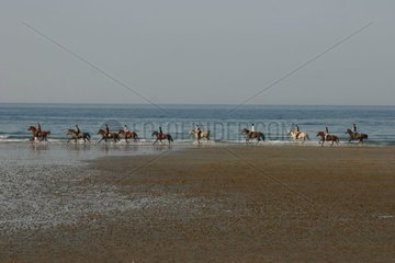 Horsemanship on the beach of Palus in September Plouha Fran