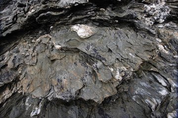 Formation of schist mixed with quartz on the coast France
