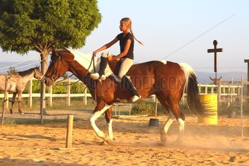 Trainingsübung eines Pferdes durch einen jungen Fahrer