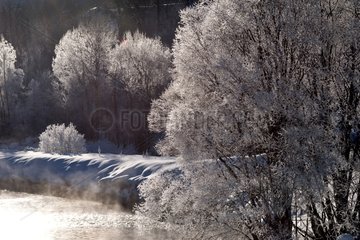 Frost  der die Bäume im Vallouise -Tal bedeckt