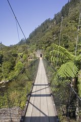 Suspension bridge over Ohinemuri river New Zealand