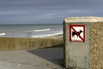 Panneau interdisant l'accès à la plage avec un chien