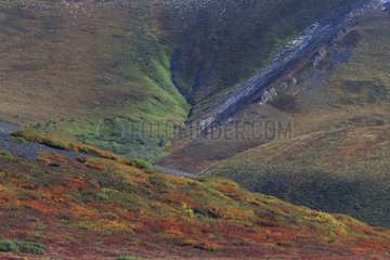 Valleys and tundra with the colors of autumn Yukon Canada