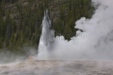 Ausbruch des alten treuen Parks von Yellowstone USA