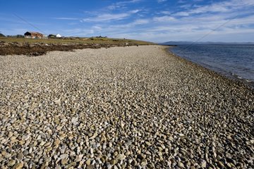 Pebble shore in Pebble Island Falkland Islands