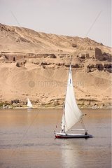 Felouques on the Nile in Assouan downstream from the lake Nasser Egypt