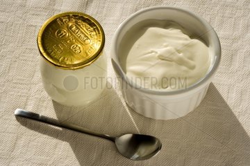 Yaourt et crème fraîche dans des petits pots