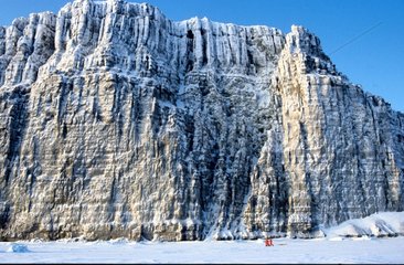 Falaises de l'île Beechey Arctique canadien