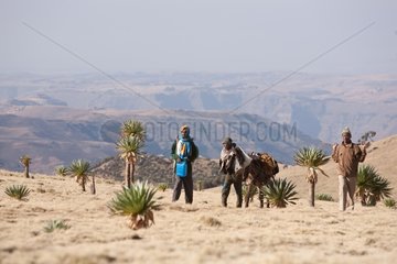 Trekking in the Simien Mountains NP in Ethiopia
