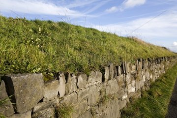 Wall stone Ireland