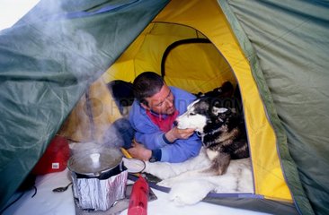 Kopfhund  der im arktischen Zelt schlafen durfte
