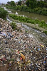 Kuh durchsucht Nahrung im Müll in der Nähe eines Flusses Kathmandu Nepal