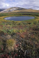 Small circular lake in the tundra in autumn Yukon Canada