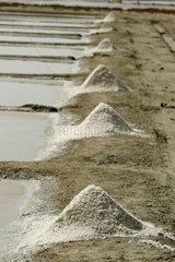 Mounds of salt in the salt marshes of the Ile de Ré