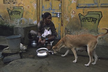 Schlampe und Katze von Mahlzeitenzubereitung Indien angezogen