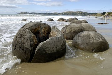 Hemispheric rocks on a beach of the Otago New Zealand