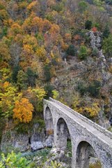 Alte Steinbrücke Jaujac Ardèche Frankreich