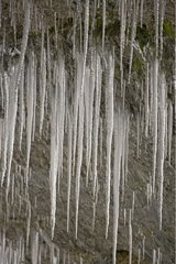 Stalactites of ice under the rock Verdon France