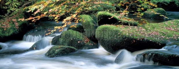 La rivière d'Argent en automne Huelgoat Bretagne