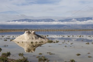 Pile of salt in lagoon - Cuatro Ciénegas Reserve Mexico