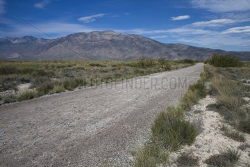 Road in the desert of Chihuahua - Cuatro Ciénegas Mexico
