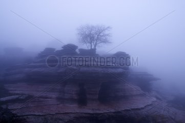 Rock in the fog Torcal de Antequera Spain