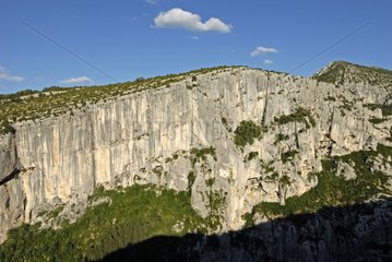 Cliff in Verdon Gorges Provence France