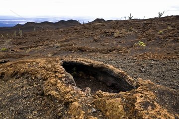 Vulkanrohr des Sierra Negra -Vulkans auf Isabela Island