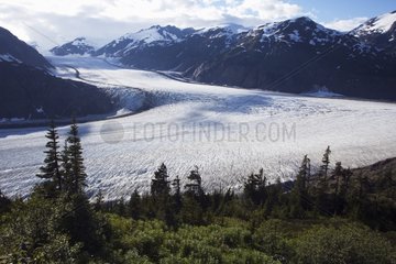 Lachsgletscher British Columbia Canada