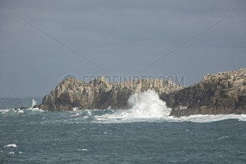 Felsen im Atlantischen Ozean Ouessant Island Frankreich
