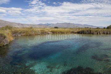 Poza Azul - Cuatro Cinegas Biosphere Reserve Mexico