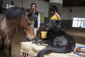 Child cuddling a dog to exercise in trust and horse