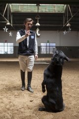 Man drawing a dog in a horse therapy center - Argentine