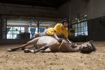 Child making a trust exercise on a horse in horse therapy