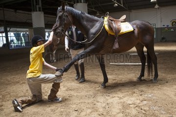 Child doing an exercise in trust with a horse