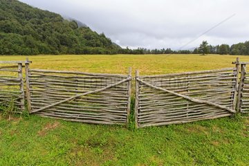 Wooden fence door separating fields - Chilean Patagonia
