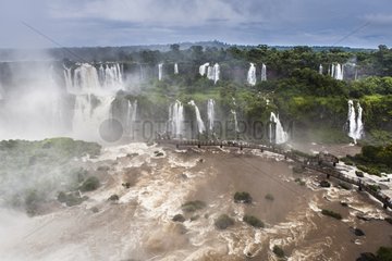 Iguazu Falls - Parana Brazil