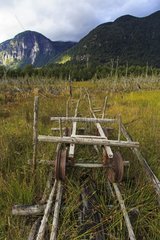 Wooden cart rolling on wooden rails in Chilean Patagonia