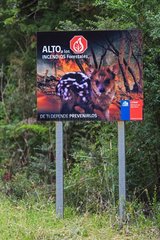 Forest fires prevention sign in Chilean Patagonia