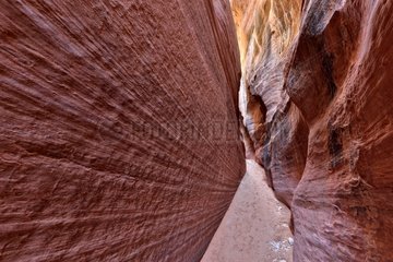 Canyon Buckskin Gulch - Vermilion Cliffs WA Arizona
