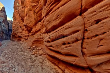 Canyon Buckskin Gulch - Vermilion Cliffs WA Arizona
