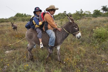 Schoolboys on a donkey - Guanajuato Mexico