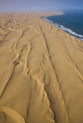 Aerial view of coastal dunes - Namib Desert Namibia