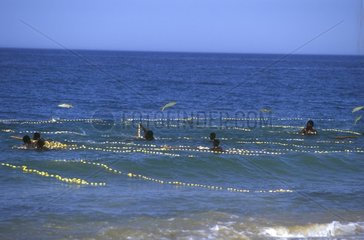Imraguen en train de pêcher avec leurs filets Mauritanie