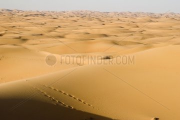 Tracks in Rub-al-Khali dunes United Arab Emirates