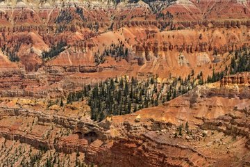 Geological landscape - Cedar Breaks NM Utah USA